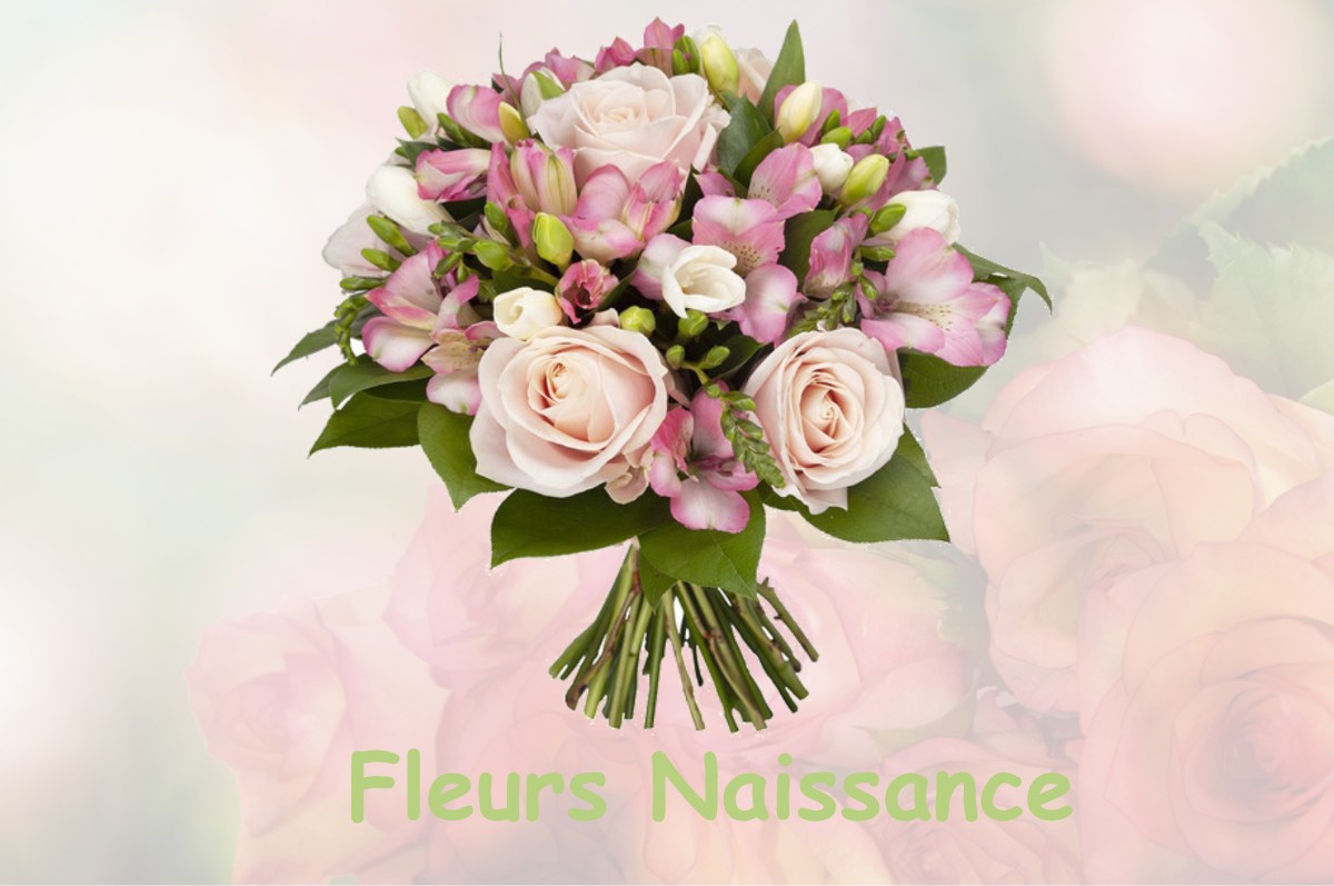 fleurs naissance AUTHUME